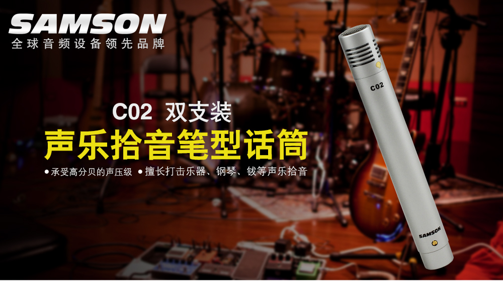 C02双只装 声乐拾音笔型话筒